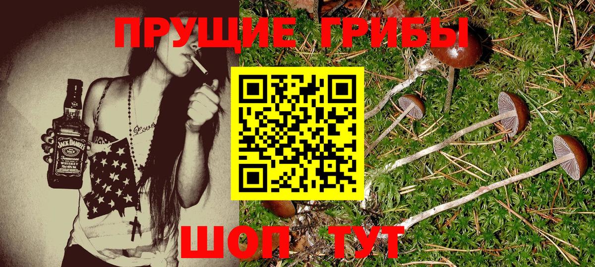 Галлюциногенные грибы прущие грибы  Вход с VPN  Котельники 